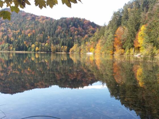 Alatsee in bunter Farbenpracht