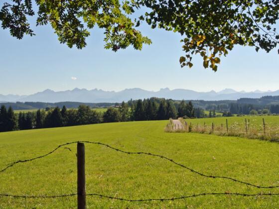 Panoramablick in die Alpen von der Buchel aus