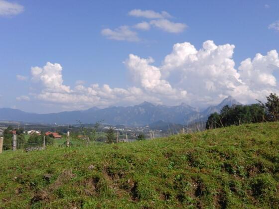 Blick zu den Ammergauer Alpen