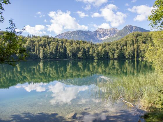 Alatsee im Allgäu