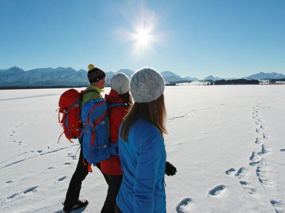 Wanderung entlang des zugefrorenen Hopfensees