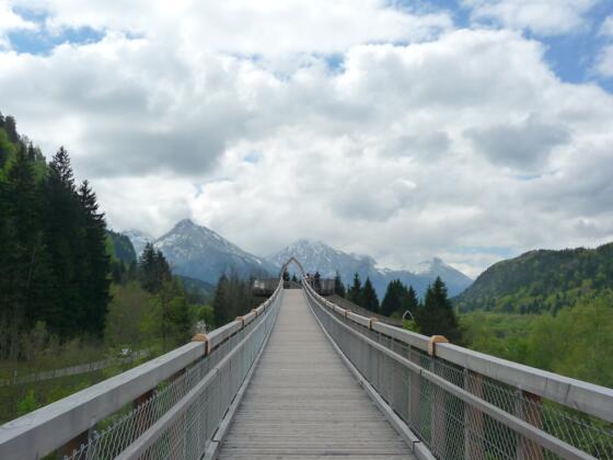 Der Baumkronenweg im Walderlebniszentrum Ziegelwies