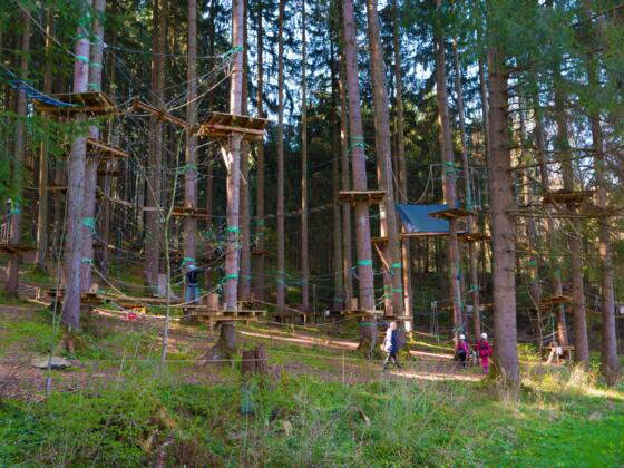 KLetterwald am Ettwieser Weiher