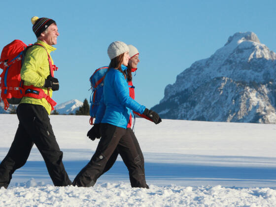 Winterwandern mit Blick auf den Säuling