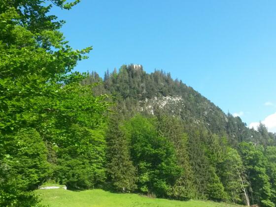 Burgruine Falkenstein