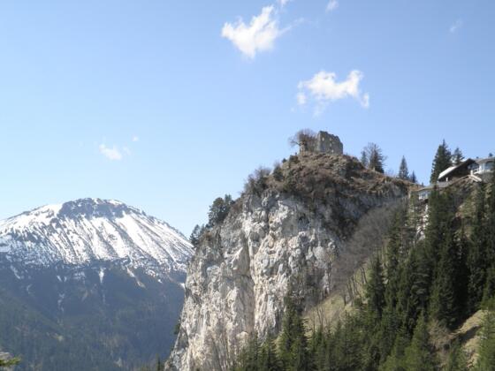 Blick zum Falkenstein