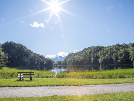 Westufer des Alatsees