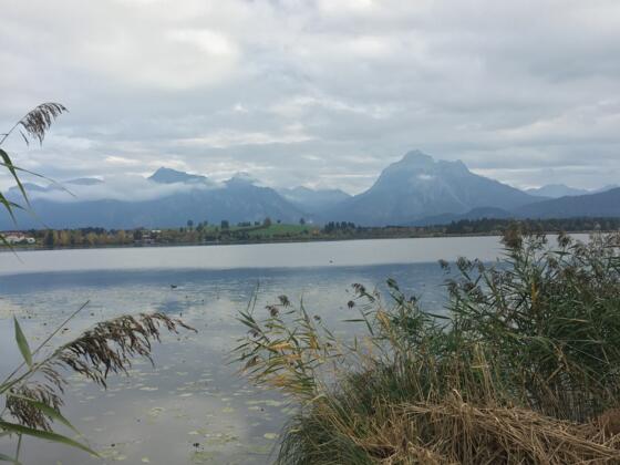 Blick über den Hopfensee