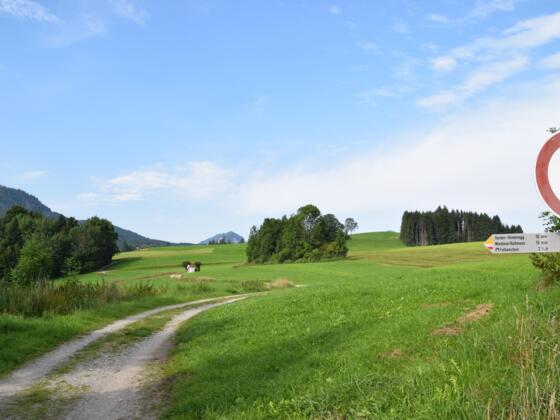 Feldweg in Richtung Vorder-/Hinteregg