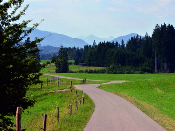Radweg auf dem 4. Abschnitt der Schlossparkradrunde