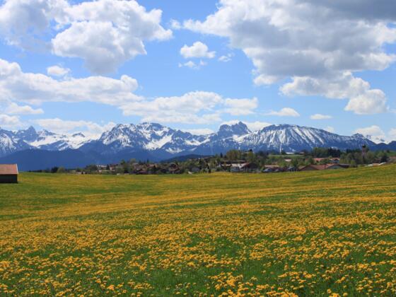 Blick über Seeg im Allgäu in die Berge