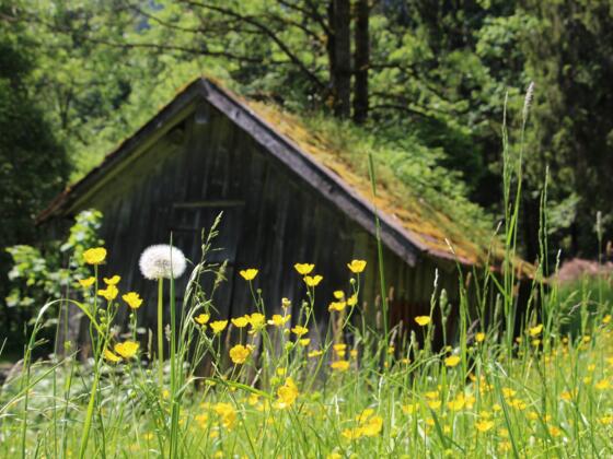 Alter Stadl im Vilstal