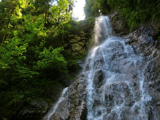 Kleiner Wasserfall in der Höllschlucht, bei Pfronten-Kappel