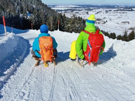Rodelspaß am Edelsberg