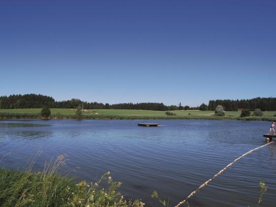 See bei Rückholz