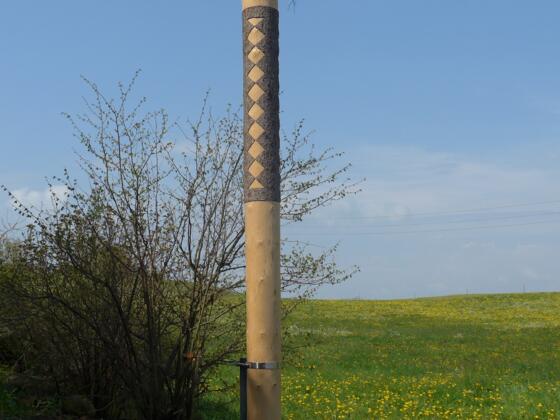 Unterwegs auf dem Reutwaldpfad