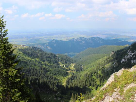 Blick auf das Voralpenland