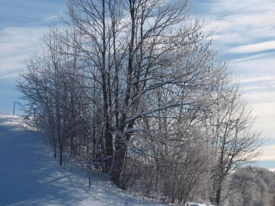 Winterwanderweg bei Nesselwang im Allgäu