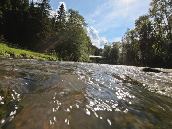 Die Wertach bei Nesselwang im Allgäu