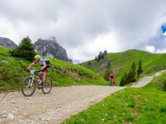 Teilnehmer des MTB-Marathon Pfronten auf dem Breitenberg