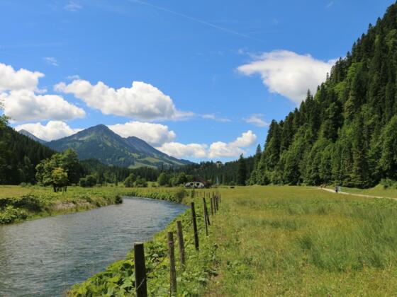 Kalbelehof Alpe im Vilstal
