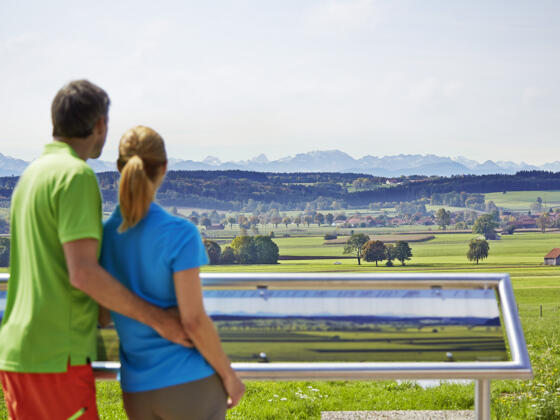 Alpenblick von Hartenthal aus