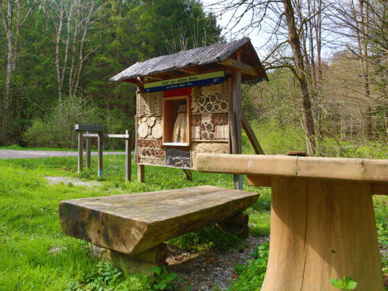 Bienenhotel auf dem Vogellehrpfad