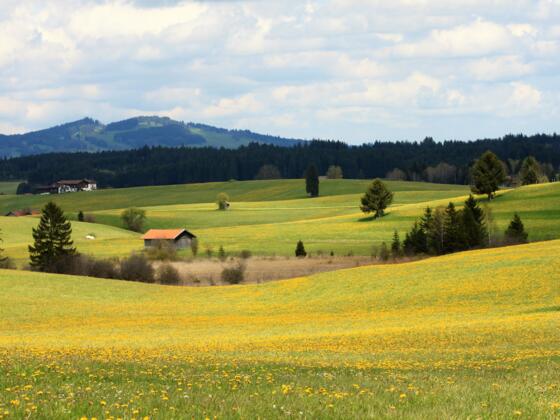Rundweg Jodquelle-Burk
