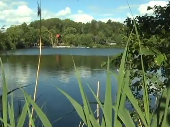 Walderlebnispfad am Buxheimer Weiher