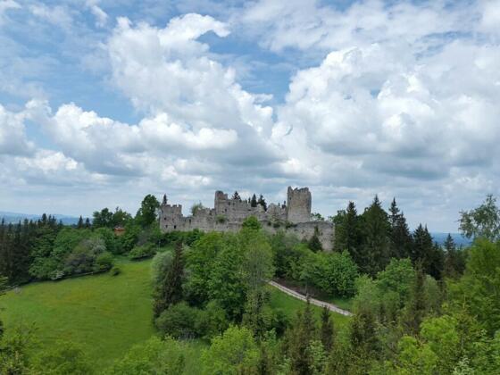 Burgruinen Eisenberg und Hohenfreyberg