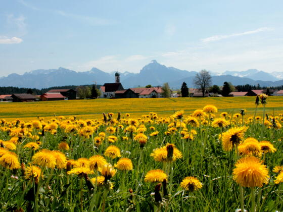 Der Blick auf Maria Hilf mit tollem Bergpanorama