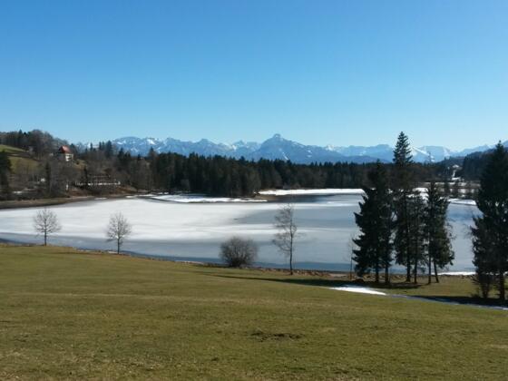 Schwaltenweiher im Winter