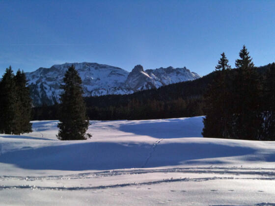 Blick auf die Hochplatte