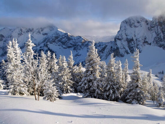Blick nach Süden auf den Aggenstein