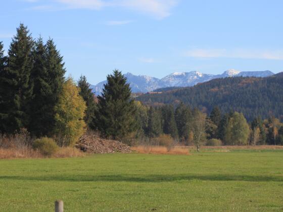 Sicht auf das Wiesleutener Moos
