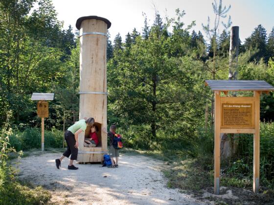 Erlebnisstation am Kneipp Waldweg