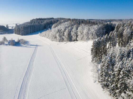 Loipenverlauf in Richtung Süden