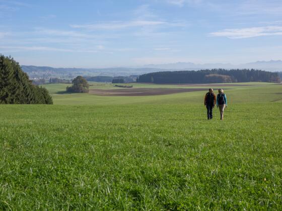 Ausblick vom Kornhofer Bänkle