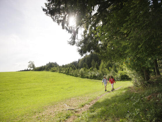 Wanderer auf dem Ringelschlagweg