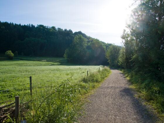 Wanderweg am Waldrand bei Rotkreuz