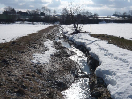 Bach bei Betzigau (2)