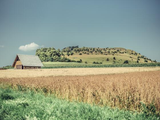 Blick auf den Bopfinger Ipf