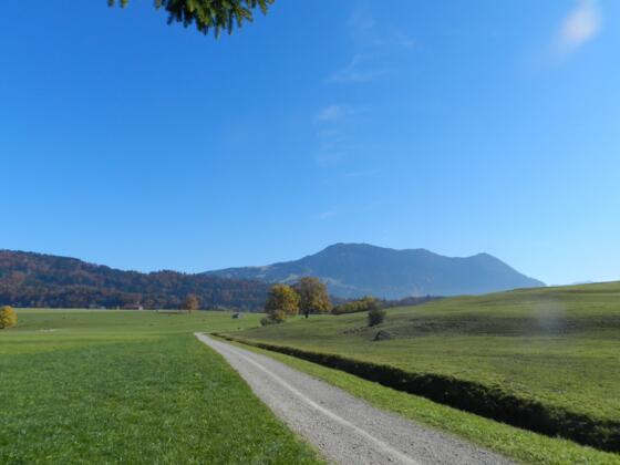 Grünten Wächter des Allgäus