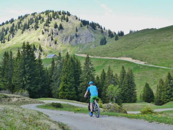 Fahrt zur Wilhelmine
