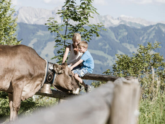 Über die Märchenwiese zur Geißrücken-Alp 