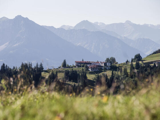 Blick auf den Berghof