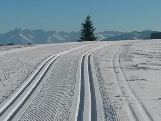 Herrliche Ausblicke auf der Loipe zwischen Ermengerst und Wagenbühl