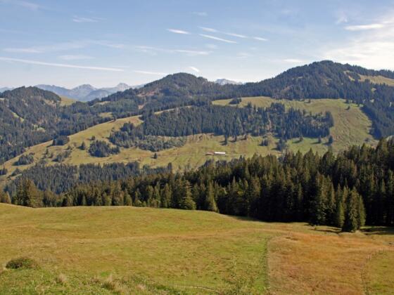 Ofterschwanger Horn, Sigiswanger Horn, Rangiswanger Horn