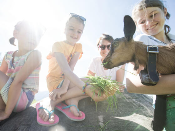 Über die 'Älple-Alpen' ins Ostertal
