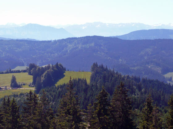 Blick auf die Wenger Egg und Alpenkette